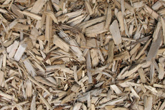 biomass boilers Torton