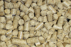 Torton biomass boiler costs